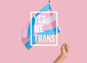 yes we trans